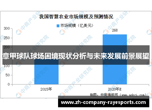 意甲球队球场困境现状分析与未来发展前景展望